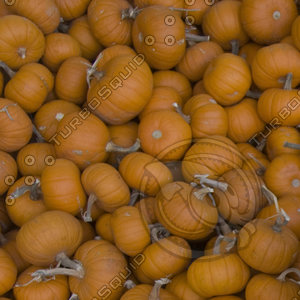 Pumpkins (Game Ready)