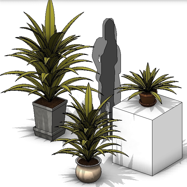 Building Revit Family Potted Plant Generic