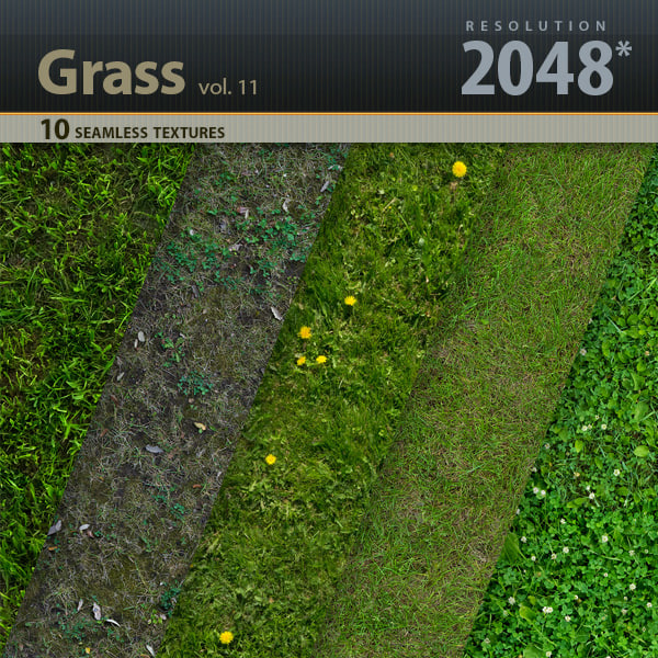 https://static.turbosquid.com/Preview/2014/08/01__21_24_43/Title_Grass_vol_11.jpg44517dff-47ff-42e3-81df-b32aa3985408Large.jpg