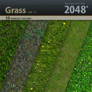 Grass Textures vol.11