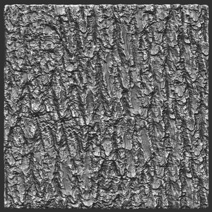 Bark greenash 04 ZBrush Alpha