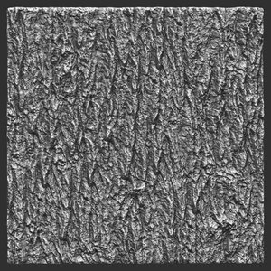 Bark greenash 03 ZBrush Alpha