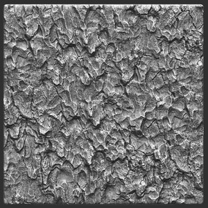 Bark deciduous setpiece 02 ZBrush Alpha