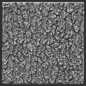 Bark deciduous 04 ZBrush Alpha