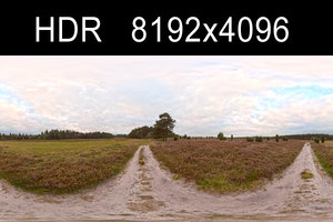 Field Path Cloudy 2
