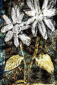 flower Az 00009