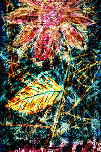 Flower Az 00041