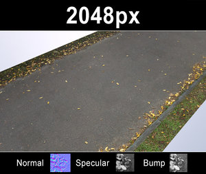 Road with Autumn Leaves 2 - Set