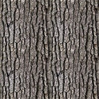 Tiled tree bark