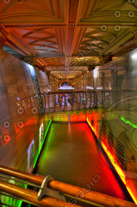 BRITISH NATURAL HISTORY MUSEUM [LONDON, ENGLAND]