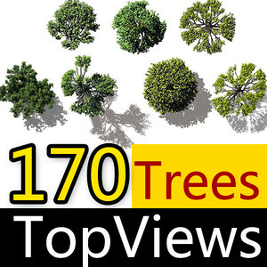 Birds Eye View Trees
