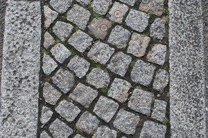 Paving_Texture_0004