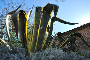 Spain_0009