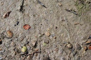 Mud_Texture_0001