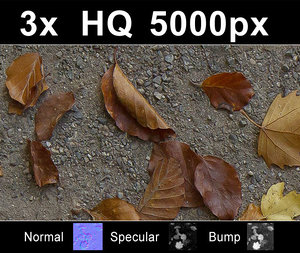 3x Leaves on Sand 1 - Hi Res Set