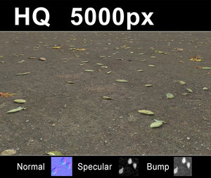 2x Leaves on Sand 2 - Hi Res Set