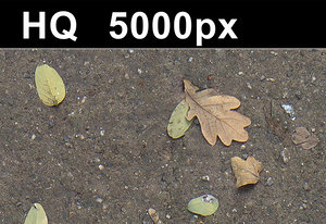 2x Leaves on Sand 2 - Hi Res