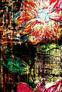 no title flower