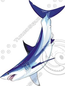 fish20