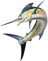 vector fish 22