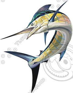 vector fish 22