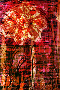 flower Az 00006