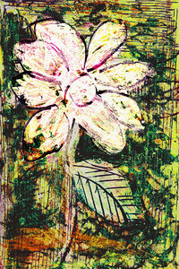 Flower Az 00021