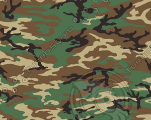 CAMO 81 Woodland pattern