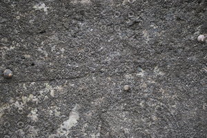 Seawall_Texture_0006