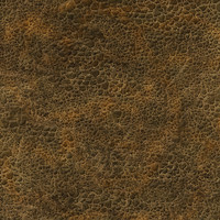 Realistic Dinosaur Texture
