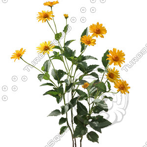 Flower_V_14