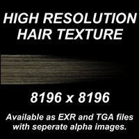 High Resolution Hair Texture - Dark Blond