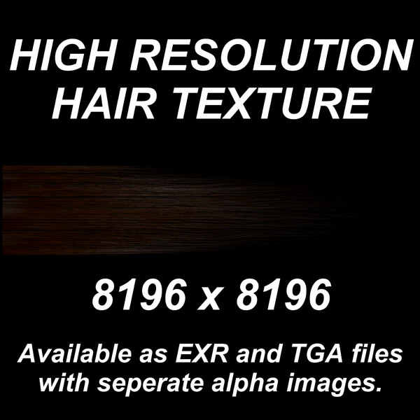  https://static.turbosquid.com/Preview/2014/08/01__22_20_40/Hair_DarkBrown_Promo0000.jpgf47a2ce0-9f65-49db-8144-c555003e1a57Large.jpg