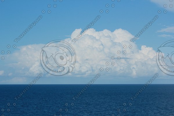  https://static.turbosquid.com/Preview/2014/08/01__22_20_40/IMG_8993.png88101d98-b489-475a-abb0-c52136105e3cLarge.jpg