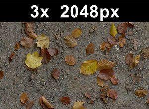 3x Leaves on Sand 1