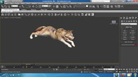 Wolf_Animation Run