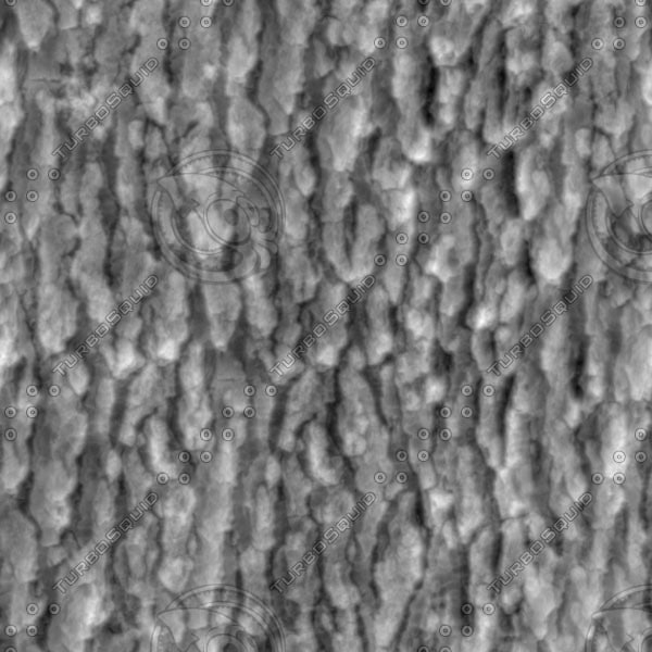 zbrush bark texture