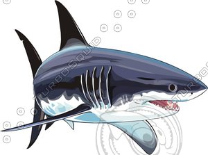 fish17