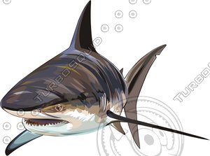 fish18