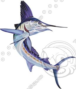 Fish23