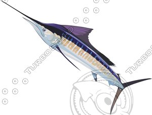 fish26