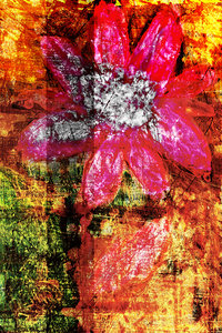 flower Az 00003