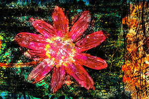 flower Az 00011