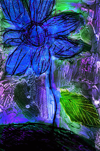 flower Az 00015