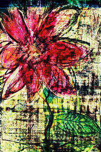 flower Az 00020