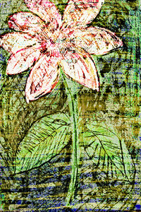 Flower Az 00024