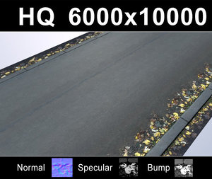 Road with Autumn Leaves - Hi Res Set