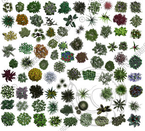 Bushes - Flowers - Small Trees Plan Pack