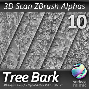 Tree Bark ZBrush Alpha 1024x1024 vol.1