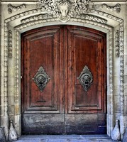 Wood double door